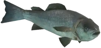 Preview of a_c_fish